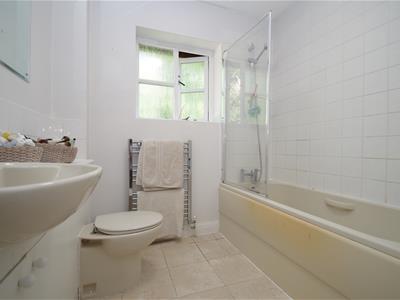 Picture 15
